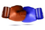 Brown and Blue Boxing Gloves